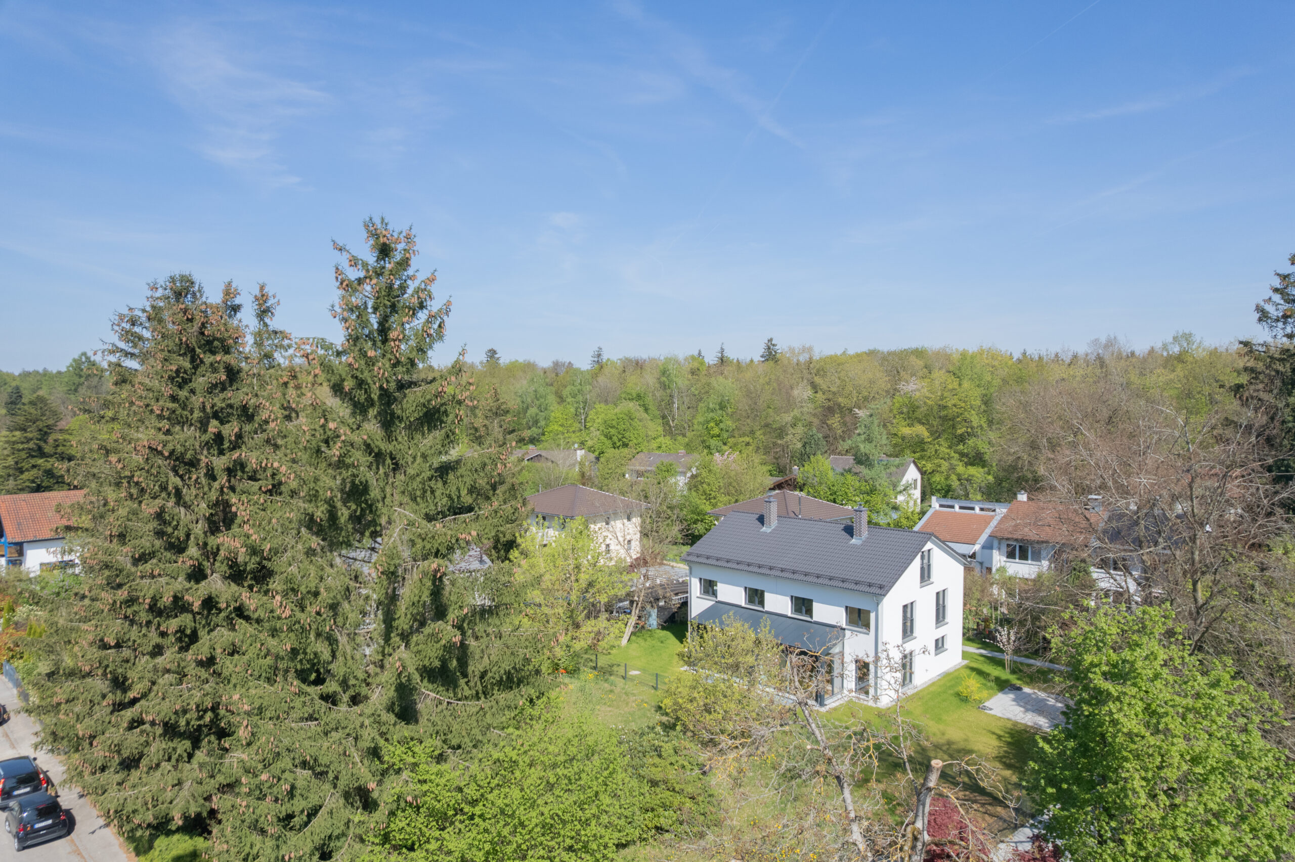 DJI_0579